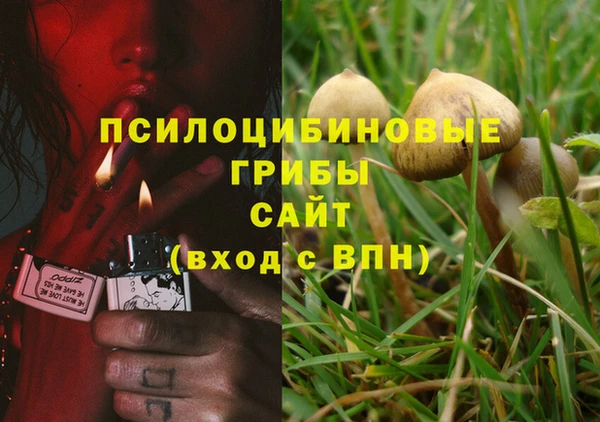 бошки Алексин